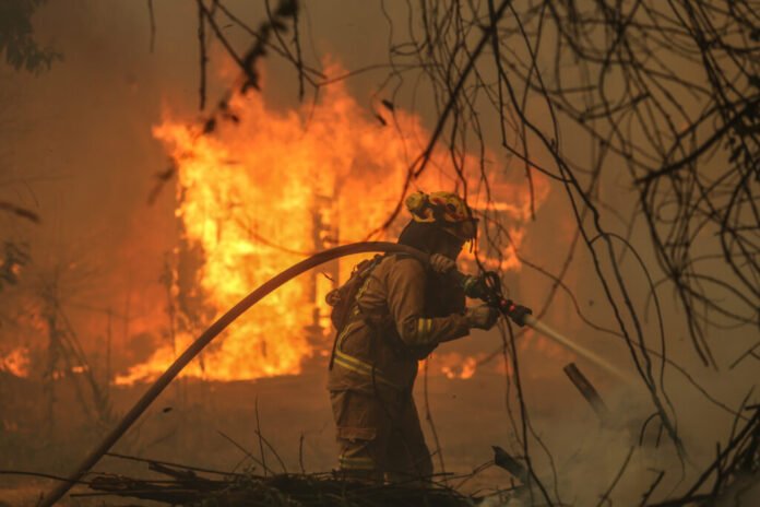 NACIMIENTO: Condiciones climáticas reactivan incendios