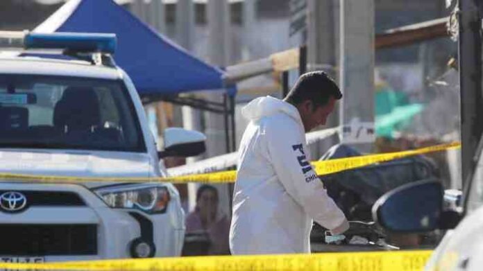 file_20250420083155_0lx0